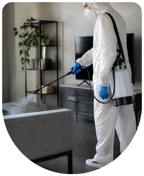 Профессиональная дезинфекция помещений от инфекций в Арсеньеве